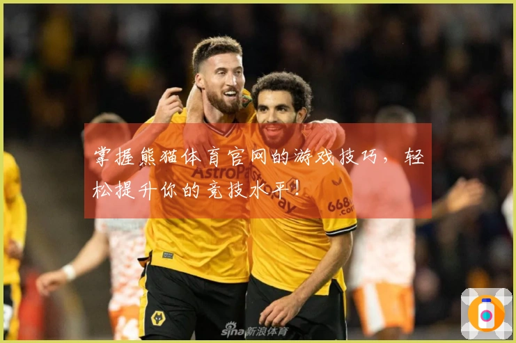 掌握熊猫体育官网的游戏技巧，轻松提升你的竞技水平！